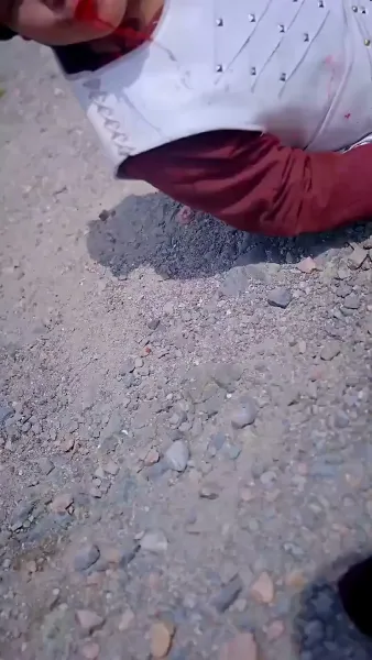 เพลิงแค้นลิขิตหงส์ 