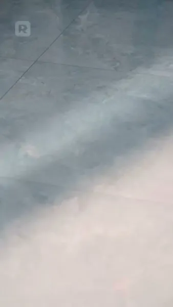 รักร้อนแรงของเจ้าพ่อเถื่อน