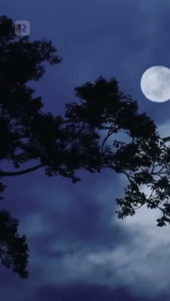 เกิดใหม่ก่อนวิวาห์ คุณหนูเย่ทั้งสวยทั้งสตรอง