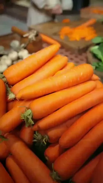 แม่ของข้าคือองค์หญิงนักรบ