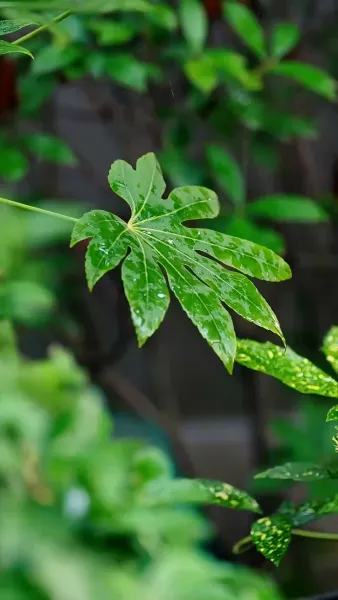 รักเพียงใด ก็มิอาจอุ่นใจเธอ