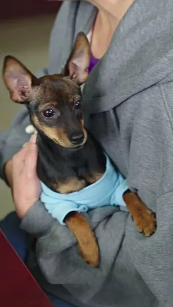 เขามาจากซากปรักหักพัง