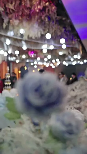 เขามาจากซากปรักหักพัง