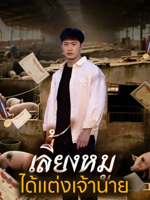 เลี้ยงหมูได้แต่งเจ้านาย