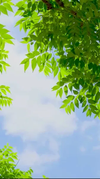  ดูแลเมียเก่าที่ผัวหลง