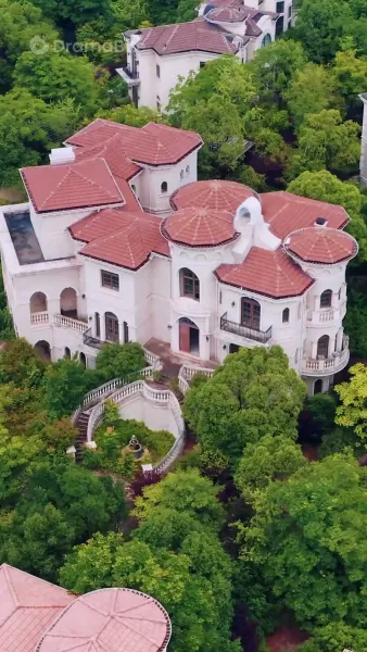 ตามหาพ่อตัวจริง: กอบกู้ลูกสาวผู้บริหาร