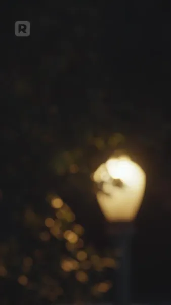 คนนั้นที่หลุดพ้นไป