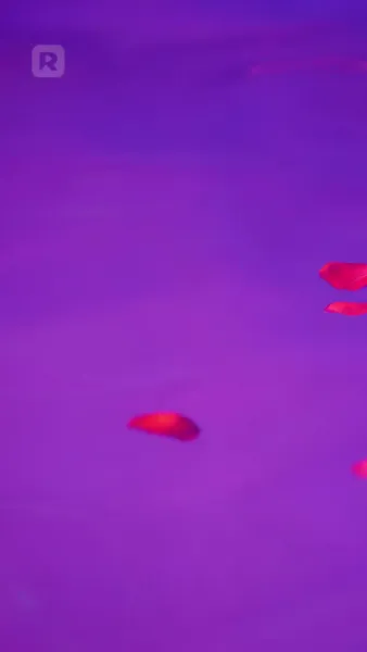 คนนั้นที่หลุดพ้นไป