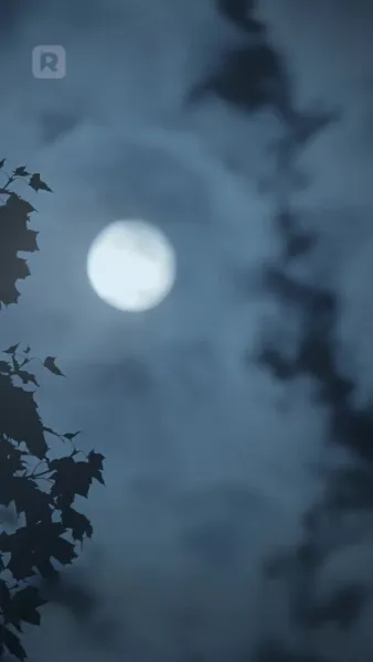 คนนั้นที่หลุดพ้นไป