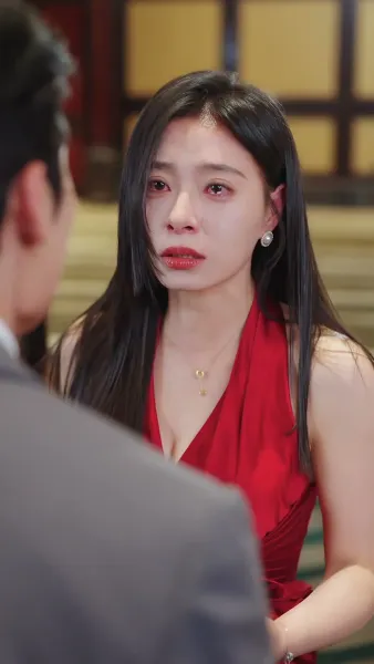 เงาของสามี 