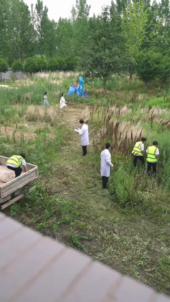 เงาของสามี 