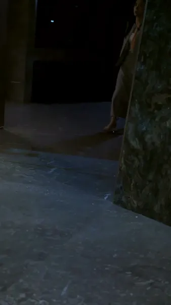 เงาของสามี 