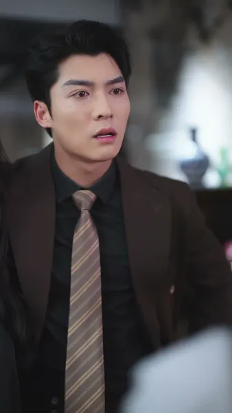 เงาของสามี 