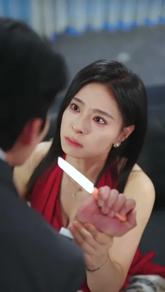 เงาของสามี 