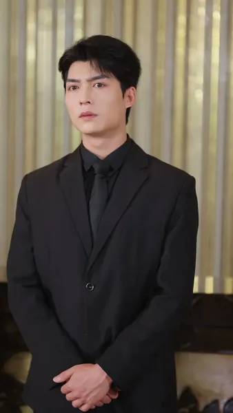 เงาของสามี 