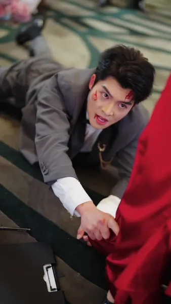 เงาของสามี 