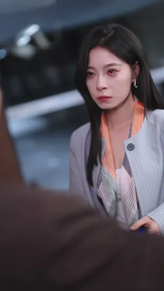 เงาของสามี 