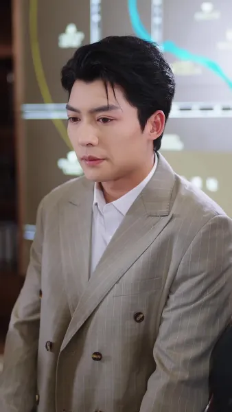 เงาของสามี 