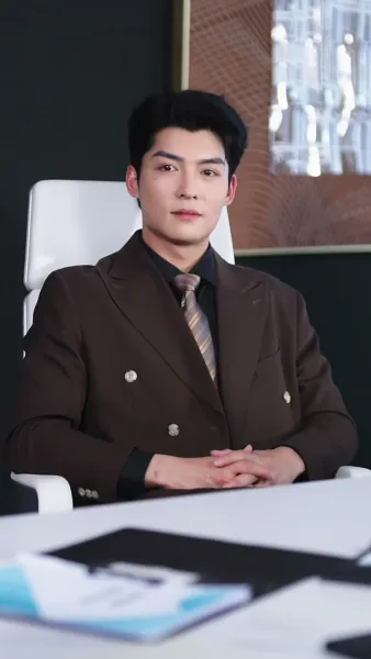 เงาของสามี 