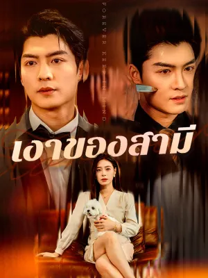 เงาของสามี 