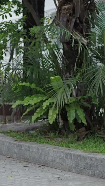 ใครกันแน่ที่แพ้เกมนี้