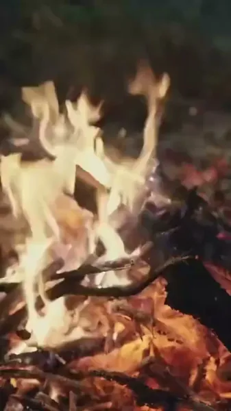 เวลาเดินทาง: หลงรักน้องสาวบุญธรรม