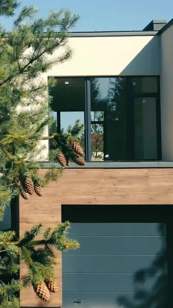 ท้องกับมหาเศรษฐีเอาใจ