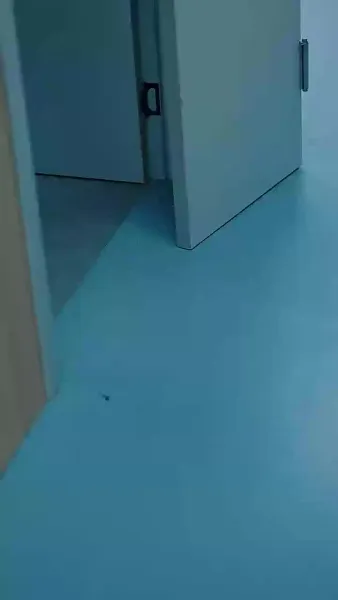 กรงปรารถนา