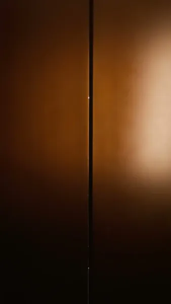 สามีแสบต้องฝึกโดยภรรยามือสังหาร