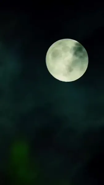 ผู้สำเร็จราชการผู้เงียบงัน