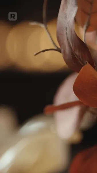 สัมพันธ์ลับห้ามล้ำเส้น