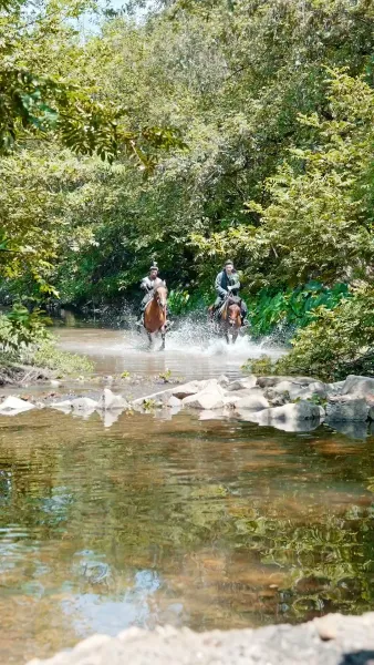 ฮ้องเต้อยู่เบื้องหน้าประตูเมือง