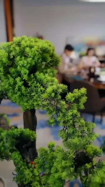 แต่งกับลุงแล้ว พี่ชายทั้งสามร้องไห้