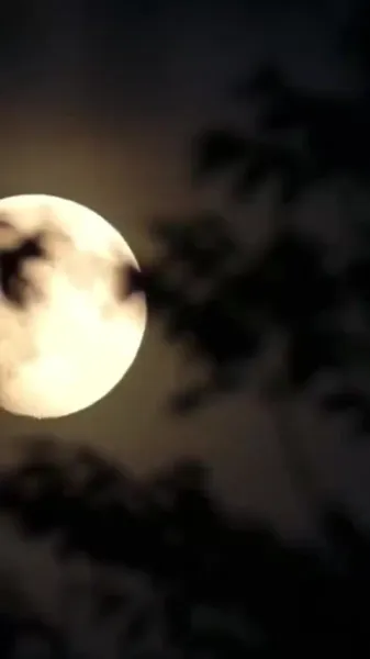 แม่ทัพหนุ่ม ภรรยาคุณหนีอีกแล้ว