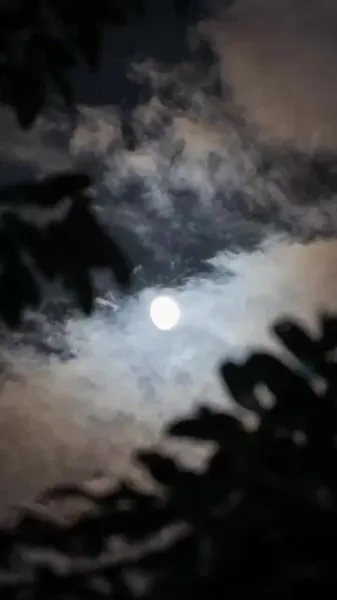 แม่ทัพหนุ่ม ภรรยาคุณหนีอีกแล้ว