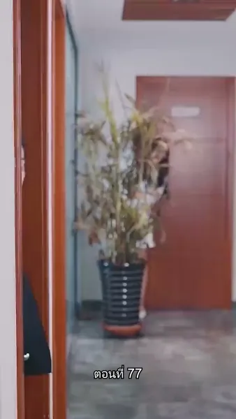 เผลอรักคุณสามีบังเอิญ