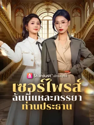 เซอร์ไพรส์ ฉันนี่แหละภรรยาท่านประธาน