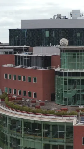 ใต้ปีกเจ้าพ่อมาเฟีย