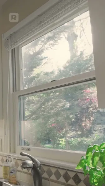 ใต้ปีกเจ้าพ่อมาเฟีย