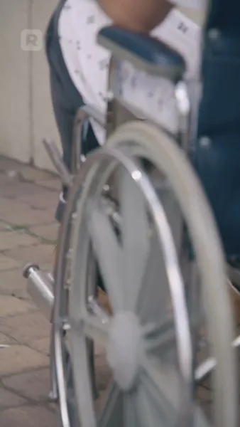 ใต้ปีกเจ้าพ่อมาเฟีย