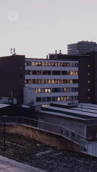 ใต้ปีกเจ้าพ่อมาเฟีย