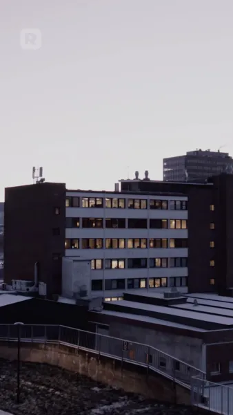 ใต้ปีกเจ้าพ่อมาเฟีย