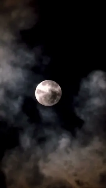 แผนแย่งบัลลังก์ของข้า