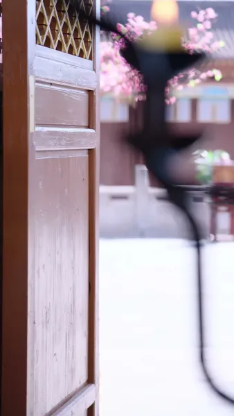 แผนแย่งบัลลังก์ของข้า