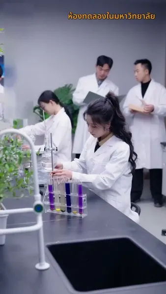 เห็นกงจักรเป็นดอกบัว