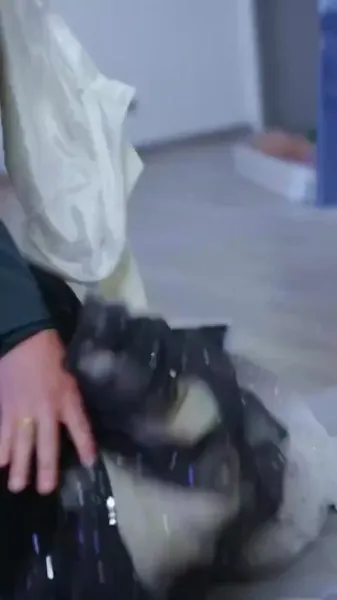 ลูกสาวตัวจริง: จากคนนอกกลายเป็นผู้ช่วยชีวิตที่ถูกรัก