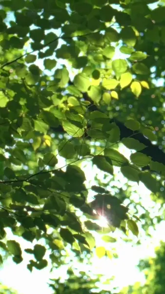 บทใหม่ของชีวิตในแสงศิลป์