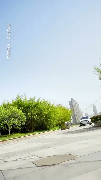 วิวาห์รักของท่านประธาน