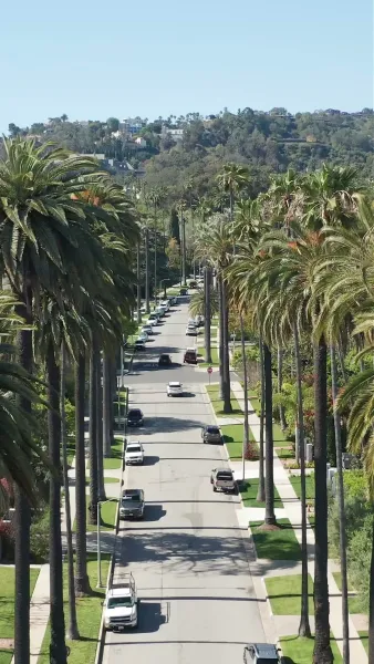 เจ้าสาวต้องห้ามของมันชินี