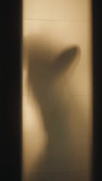 เจ้าสาวต้องห้ามของมันชินี